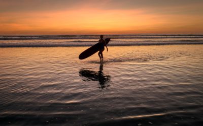 What Surfing Teaches About Success Mindset In Business